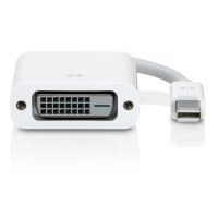 Видеоадаптер Apple Mini Displayport to DVI Adapter - INT MB570Z A РСТ