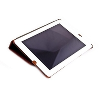 Чехол для iPad 2 коричневый варан трехточечная подставка